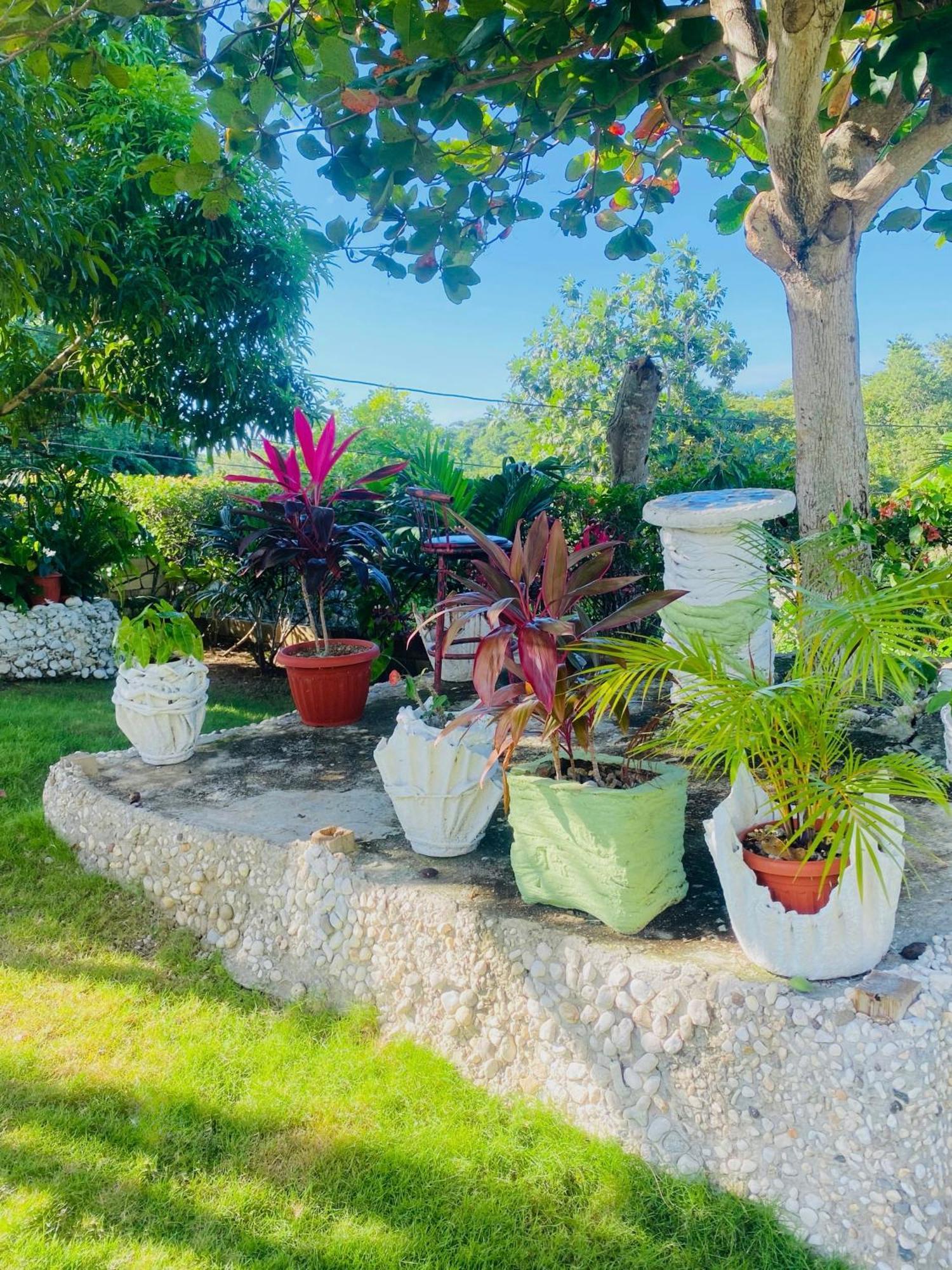 Cindy'S Garden Stay Ocho Ríos Extérieur photo